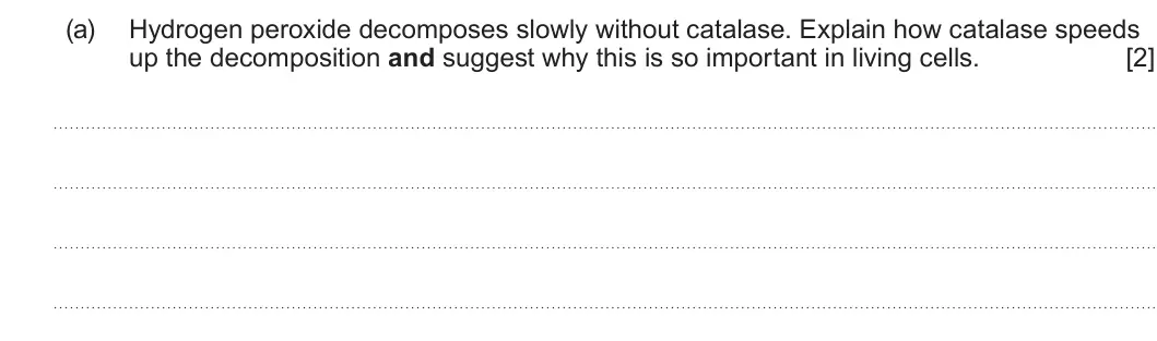 Summer 2024 AS Unit 1, question 3(a): Hydrogen peroxide decomposes slowly without catalase. Explain how catalase speeds up the decomposition and suggest why this is so important in living cells. [2]