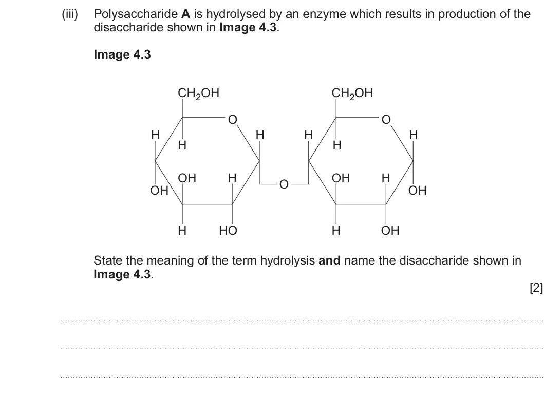 Summer 2024 AS Unit 1, question 4(a)(iii): Polysaccharide A is hydrolysed by an enzyme which results in production of the disaccharide shown in Image 4.3. Image 4.3 CH2OH CH2OH O O H H H H H H OH H OH H 