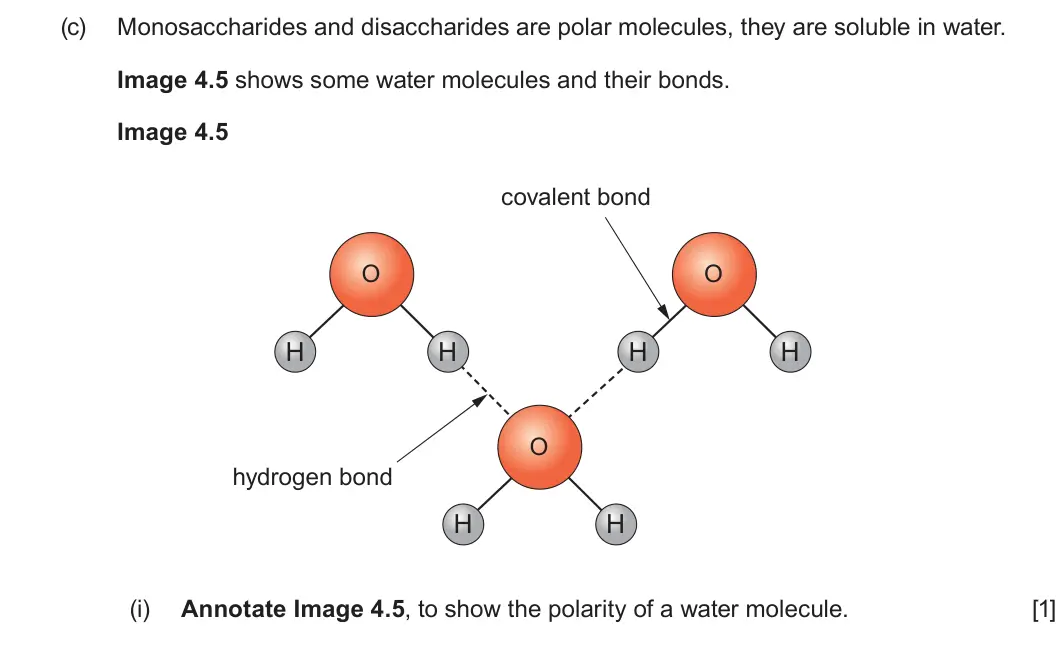 Summer 2024 AS Unit 1, question 4(c)(i): Annotate Image 4.5, to show the polarity of a water molecule. [1]