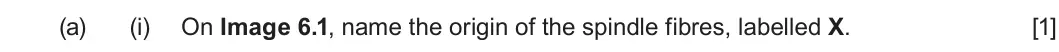 Summer 2024 AS Unit 1, question 6(a)(i): On Image 6.1, name the origin of the spindle fibres, labelled X. [1]