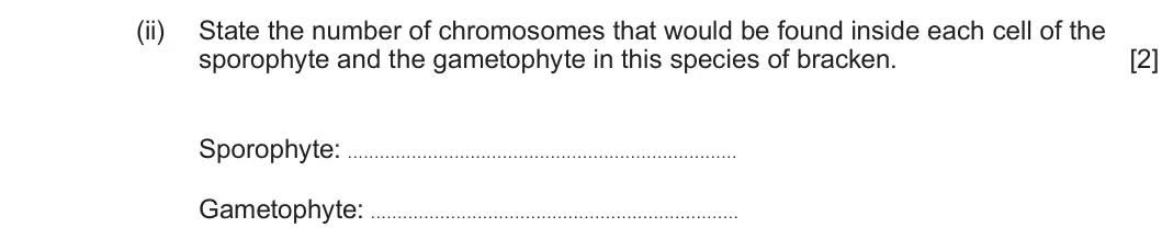 Summer 2025 AS Unit 1, question 1(c)(ii): State the number of chromosomes that would be found inside each cell of the sporophyte and the gametophyte in this species of bracken. [2] Sporophyte: . . . . .