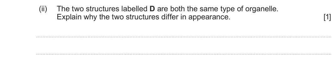 Summer 2025 AS Unit 1, question 2(a)(ii): The two structures labelled D are both the same type of organelle. Explain why the two structures differ in appearance. [1]