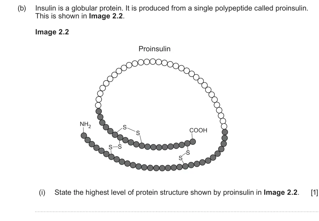 Summer 2025 AS Unit 1, question 2(b)(i): State the highest level of protein structure shown by proinsulin in Image 2.2. [1]