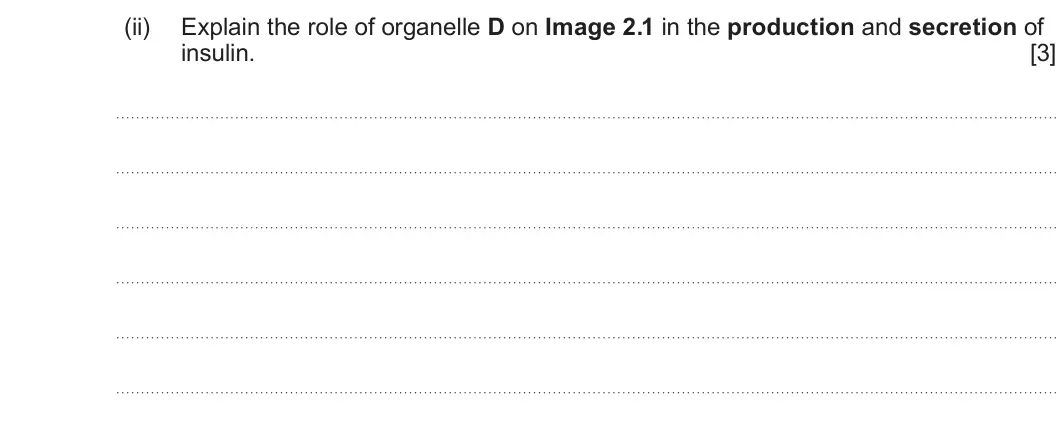 Summer 2025 AS Unit 1, question 2(c)(ii): Explain the role of organelle D on Image 2.1 in the production and secretion of insulin. [3]