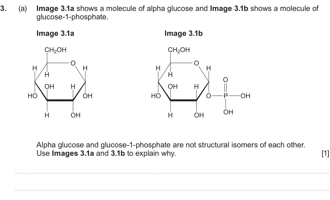 Summer 2025 AS Unit 1, question 3(a): Image 3.1a shows a molecule of alpha glucose and Image 3.1b shows a molecule of glucose-1-phosphate. Image 3.1a Image 3.1b CH2OH CH2OH O O H H H H H H O OH OH H