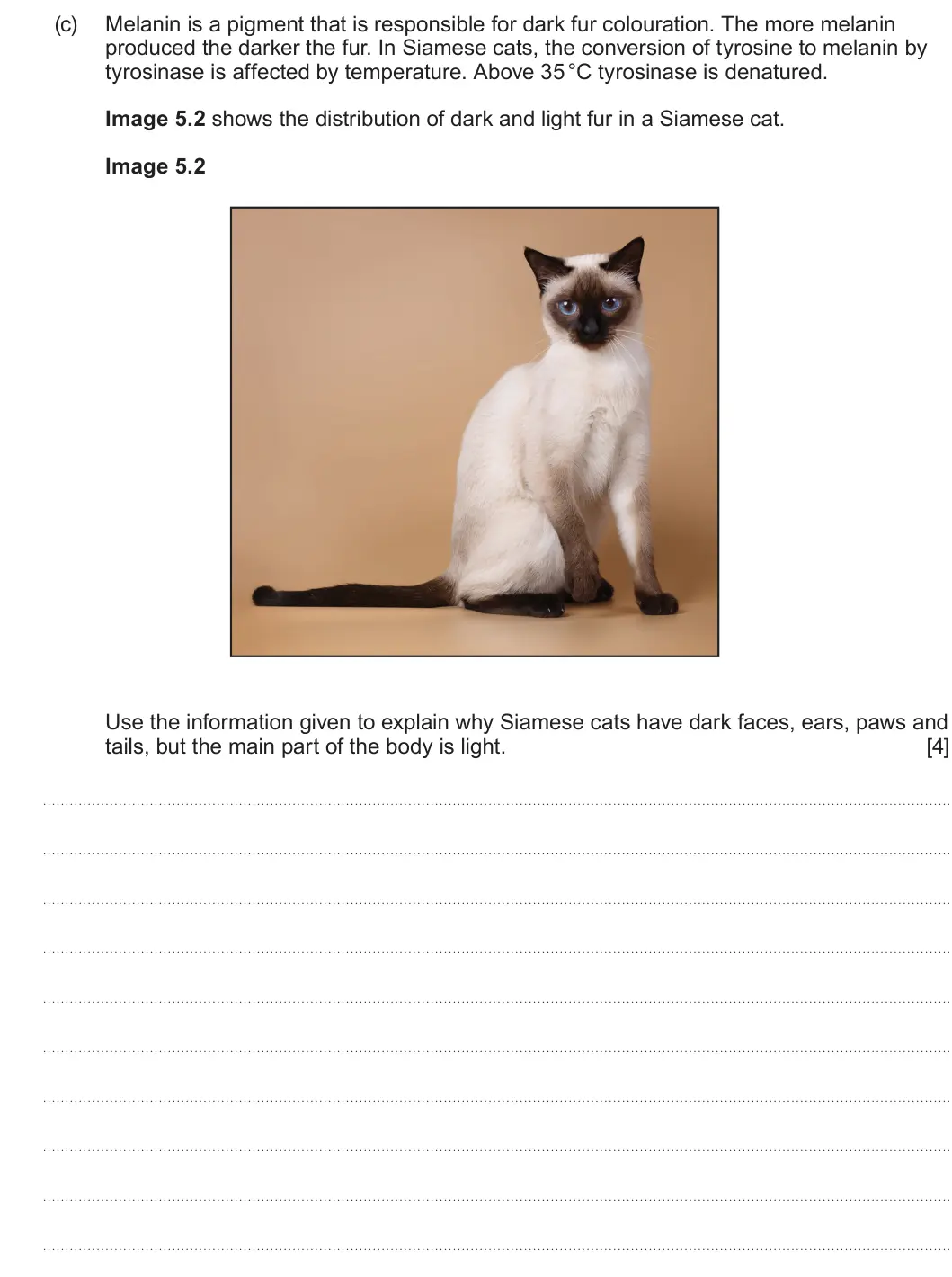 Summer 2025 AS Unit 1, question 5(c): Melanin is a pigment that is responsible for dark fur colouration. The more melanin produced the darker the fur. In Siamese cats, the conversion of tyrosine to