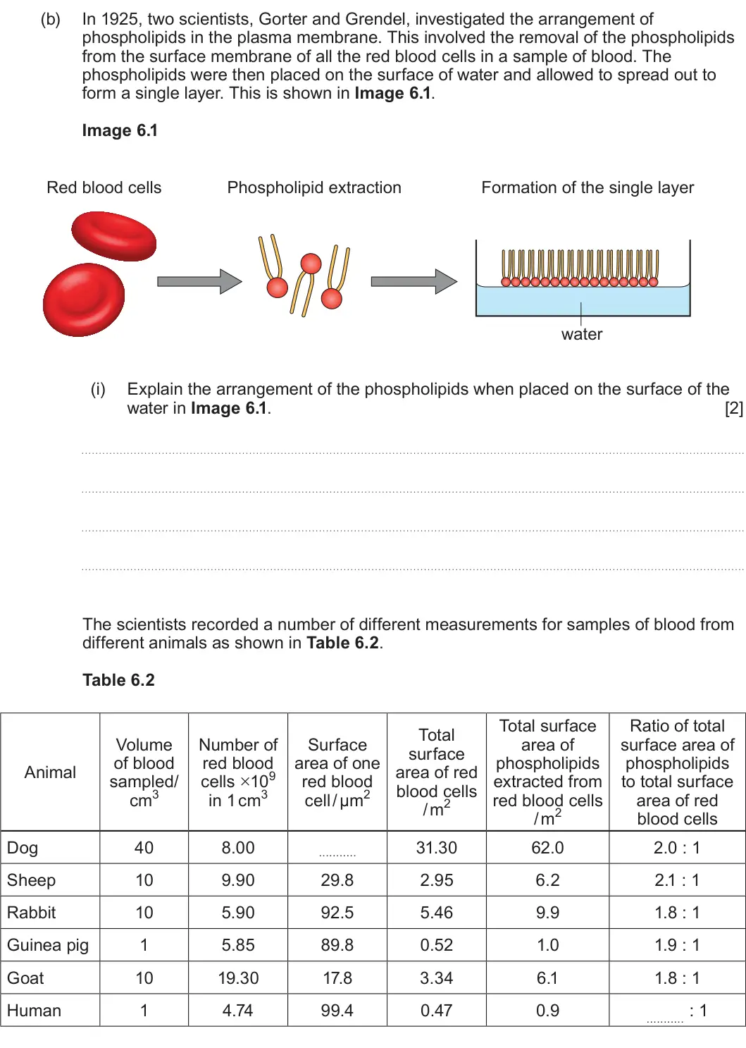 Summer 2025 AS Unit 1, question 6(b)(i): Explain the arrangement of the phospholipids when placed on the surface of the water in Image 6.1. [2] The scientists recorded a number of different measurement
