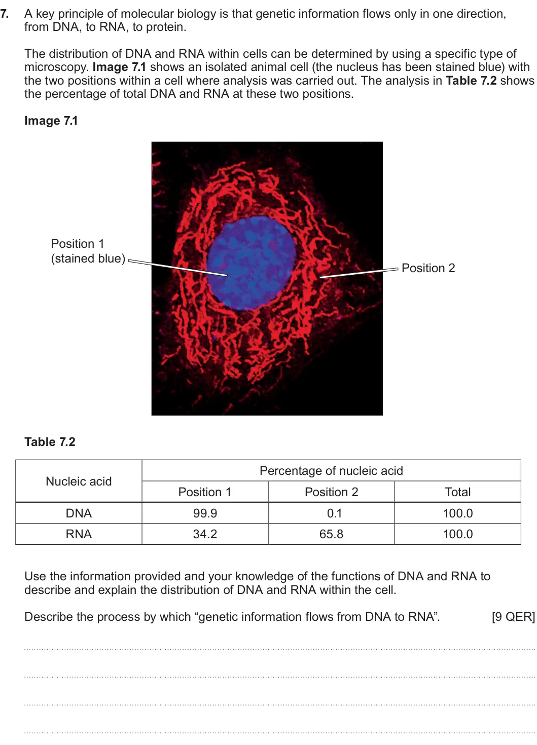 Summer 2025 AS Unit 1, question 7: A key principle of molecular biology is that genetic information flows only in one direction, from DNA, to RNA, to protein. The distribution of DNA and RNA with