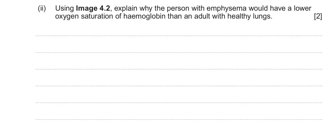 Summer 2023 AS Unit 2, question 4(a)(ii): Using Image 4.2, explain why the person with emphysema would have a lower oxygen saturation of haemoglobin than an adult with healthy lungs. [2]
