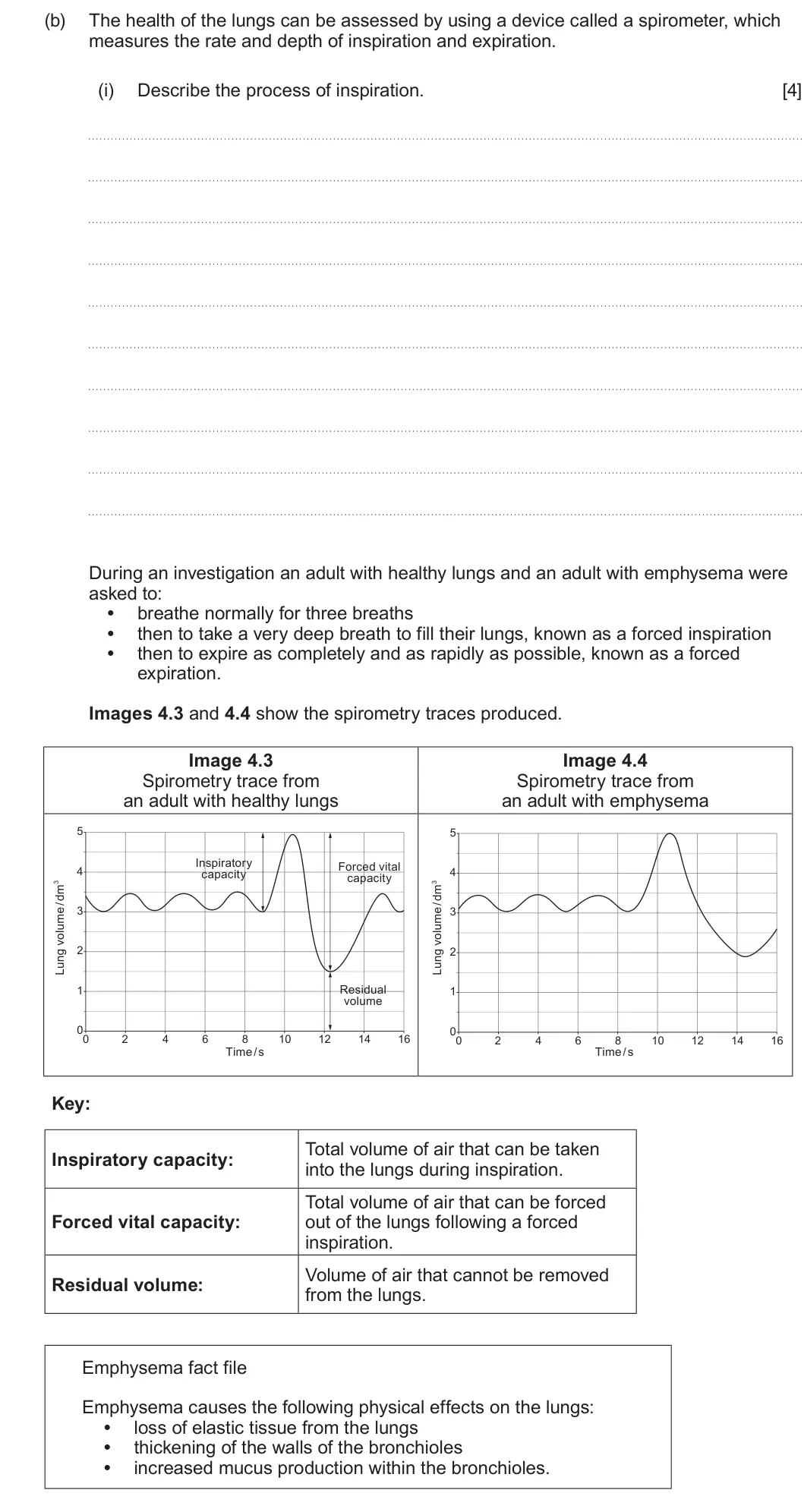 Summer 2023 AS Unit 2, question 4(b)(i): Describe the process of inspiration. [4] During an investigation an adult with healthy lungs and an adult with emphysema were asked to: • breathe normally for t