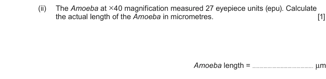 Summer 2023 AS Unit 2, question 5(c)(ii): The Amoeba at ×40 magnification measured 27 eyepiece units (epu). Calculate the actual length of the Amoeba in micrometres. [1] Amoeba length = . . . µm