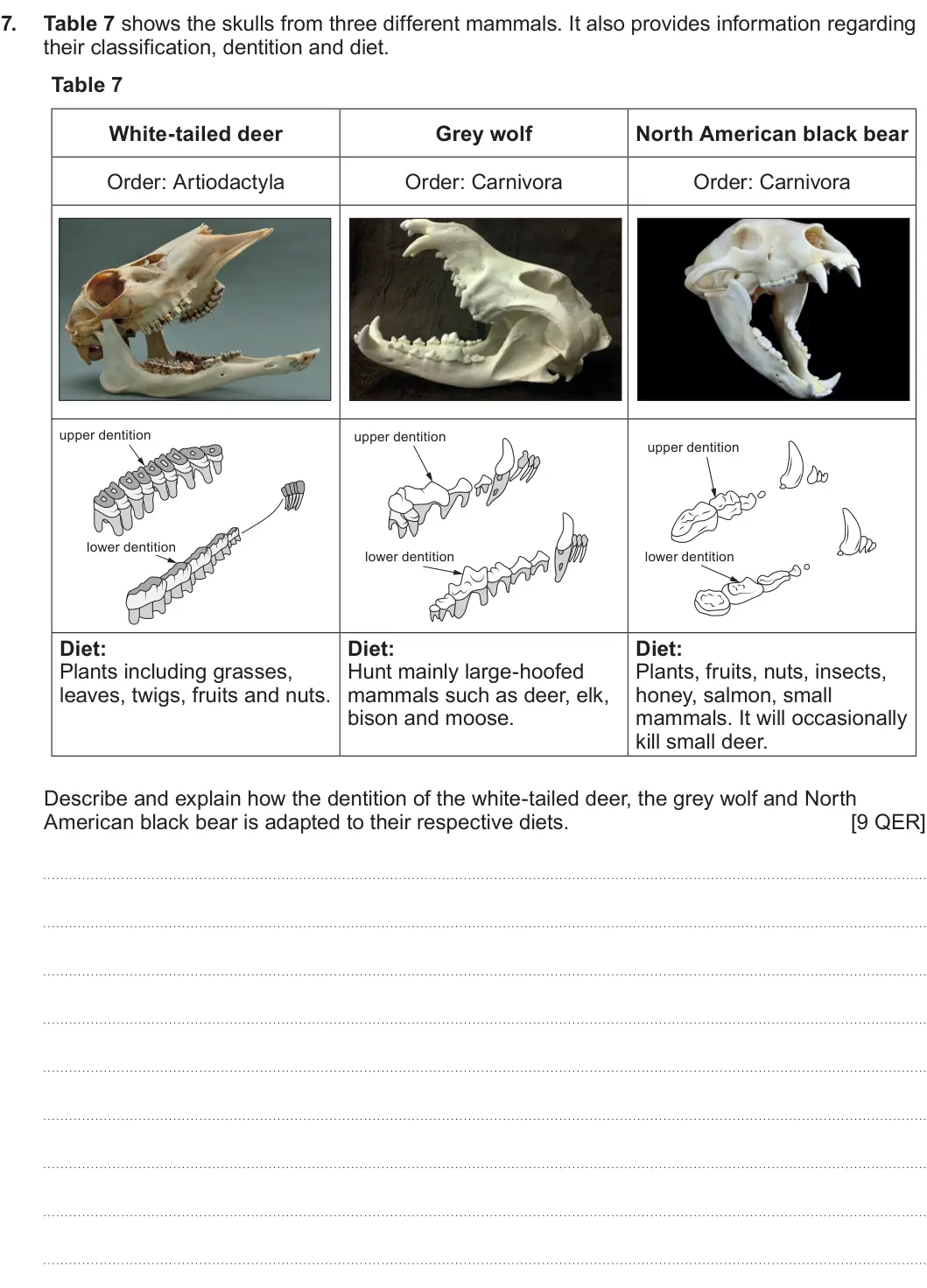 Summer 2023 AS Unit 2, question 7: Table 7 shows the skulls from three different mammals. It also provides information regarding their classification, dentition and diet. Table 7 White-tailed dee