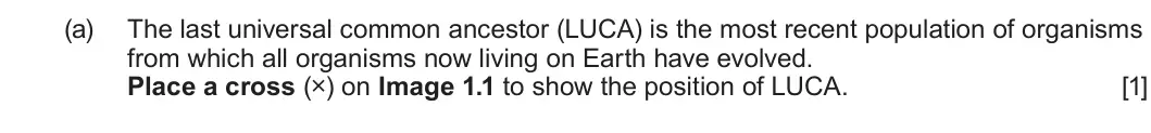 Summer 2024 AS Unit 2, question 1(a): The last universal common ancestor (LUCA) is the most recent population of organisms from which all organisms now living on Earth have evolved. Place a cross (×