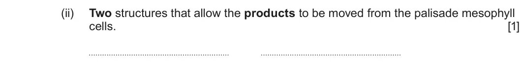 Summer 2024 AS Unit 2, question 2(b)(ii): Two structures that allow the products to be moved from the palisade mesophyll cells. [1]