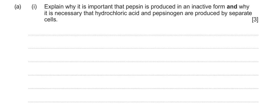 Summer 2024 AS Unit 2, question 3(a)(i): Explain why it is important that pepsin is produced in an inactive form and why it is necessary that hydrochloric acid and pepsinogen are produced by separate c