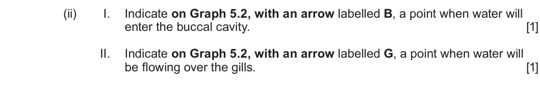 Summer 2024 AS Unit 2, question 5(b)(ii): I. Indicate on Graph 5.2, with an arrow labelled B, a point when water will enter the buccal cavity. [1] II. Indicate on Graph 5.2, with an arrow labelled G, a 