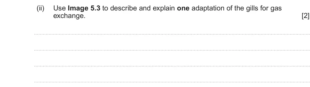 Summer 2024 AS Unit 2, question 5(c)(ii): Use Image 5.3 to describe and explain one adaptation of the gills for gas exchange. [2]