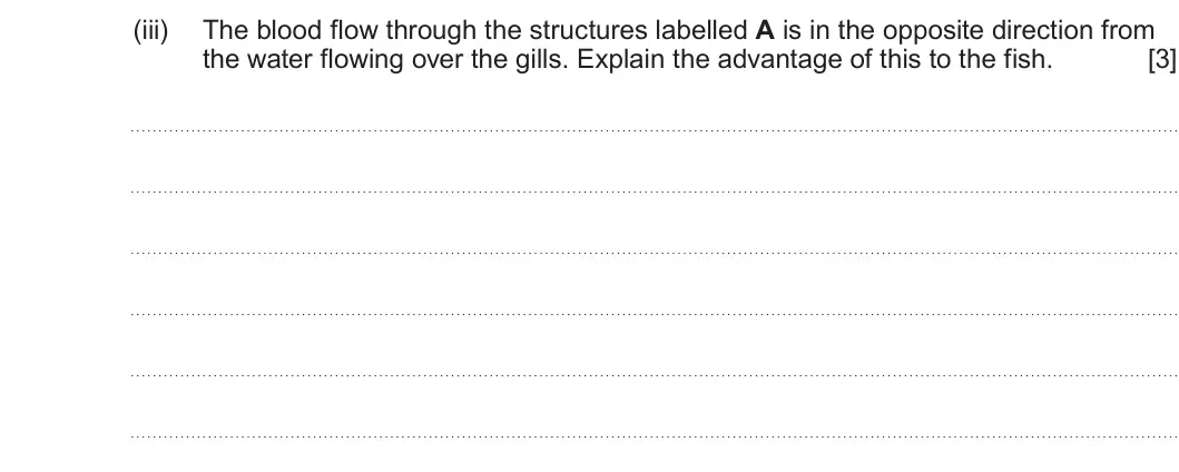 Summer 2024 AS Unit 2, question 5(c)(iii): The blood flow through the structures labelled A is in the opposite direction from the water flowing over the gills. Explain the advantage of this to the fish. 