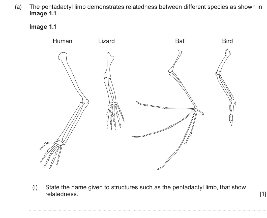 Summer 2025 AS Unit 2, question 1(a)(i): State the name given to structures such as the pentadactyl limb, that show relatedness. [1]