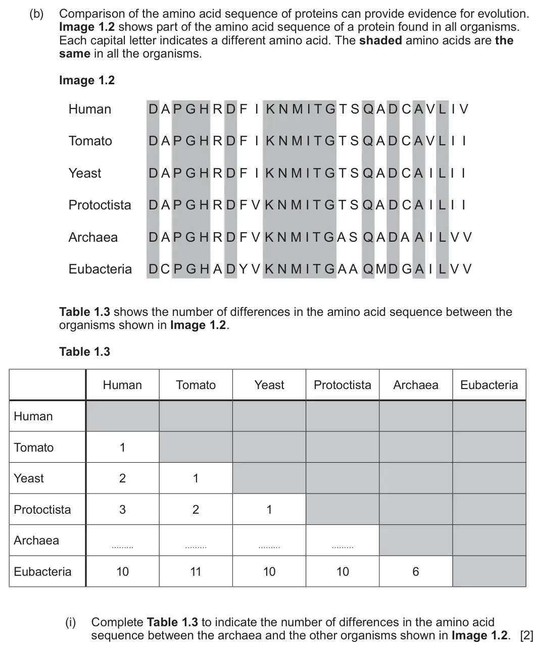 Summer 2025 AS Unit 2, question 1(b)(i): Complete Table 1.3 to indicate the number of differences in the amino acid sequence between the archaea and the other organisms shown in Image 1.2. [2]