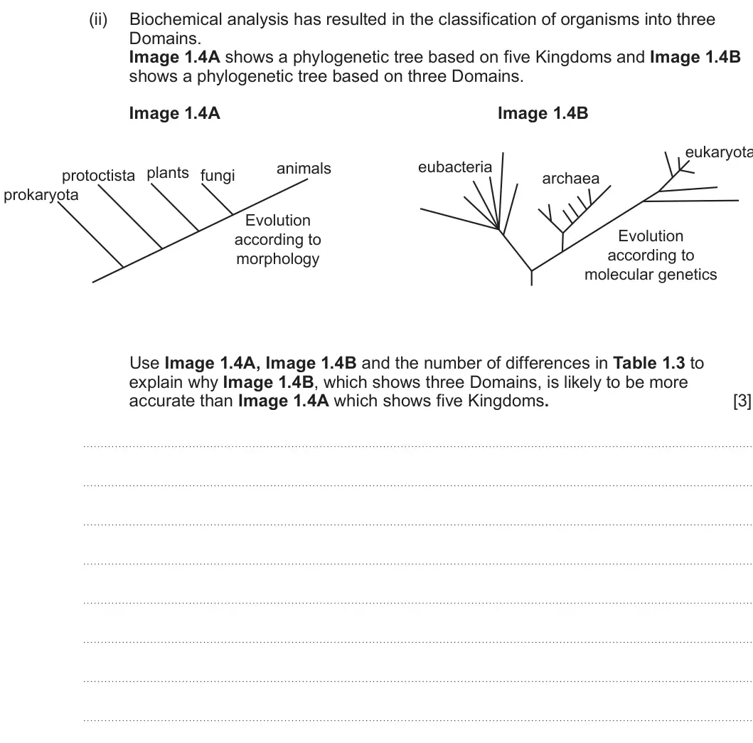 Summer 2025 AS Unit 2, question 1(b)(ii): Biochemical analysis has resulted in the classification of organisms into three Domains. Image 1.4A shows a phylogenetic tree based on five Kingdoms and Image 1