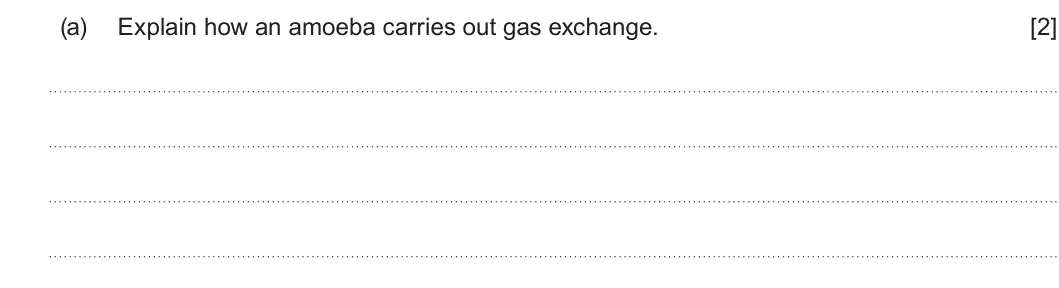 Summer 2025 AS Unit 2, question 2(a): Explain how an amoeba carries out gas exchange. [2]