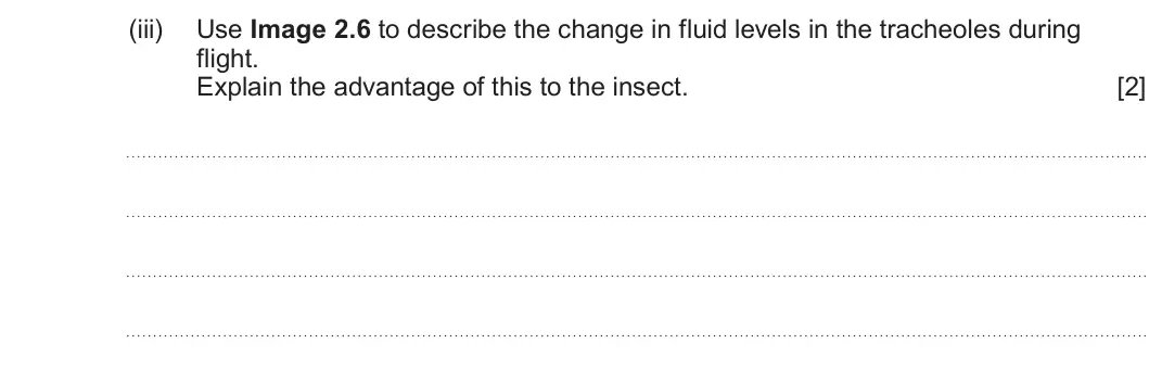Summer 2025 AS Unit 2, question 2(c)(iii): Use Image 2.6 to describe the change in fluid levels in the tracheoles during flight. Explain the advantage of this to the insect. [2]