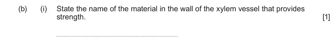 Summer 2025 AS Unit 2, question 4(b)(i): State the name of the material in the wall of the xylem vessel that provides strength. [1] . . . . . . . . . . . . . . . . . . . . . . . . . . . . . . . . . . .