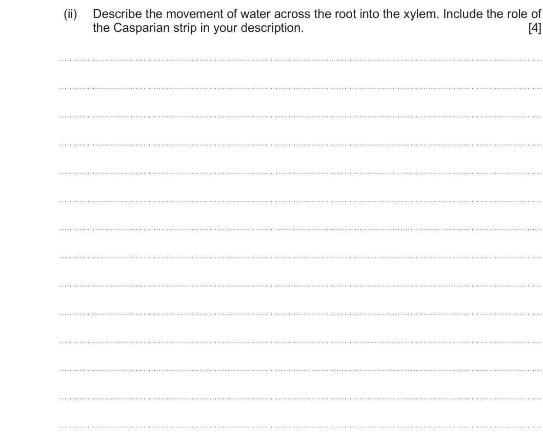 Summer 2025 AS Unit 2, question 4(b)(ii): Describe the movement of water across the root into the xylem. Include the role of the Casparian strip in your description. [4]