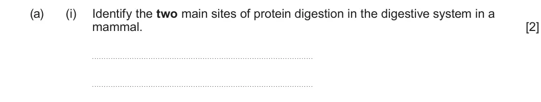 Summer 2025 AS Unit 2, question 6(a)(i): Identify the two main sites of protein digestion in the digestive system in a mammal. [2]