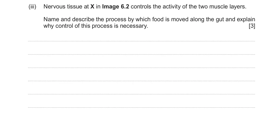 Summer 2025 AS Unit 2, question 6(b)(iii): Nervous tissue at X in Image 6.2 controls the activity of the two muscle layers. Name and describe the process by which food is moved along the gut and explain 