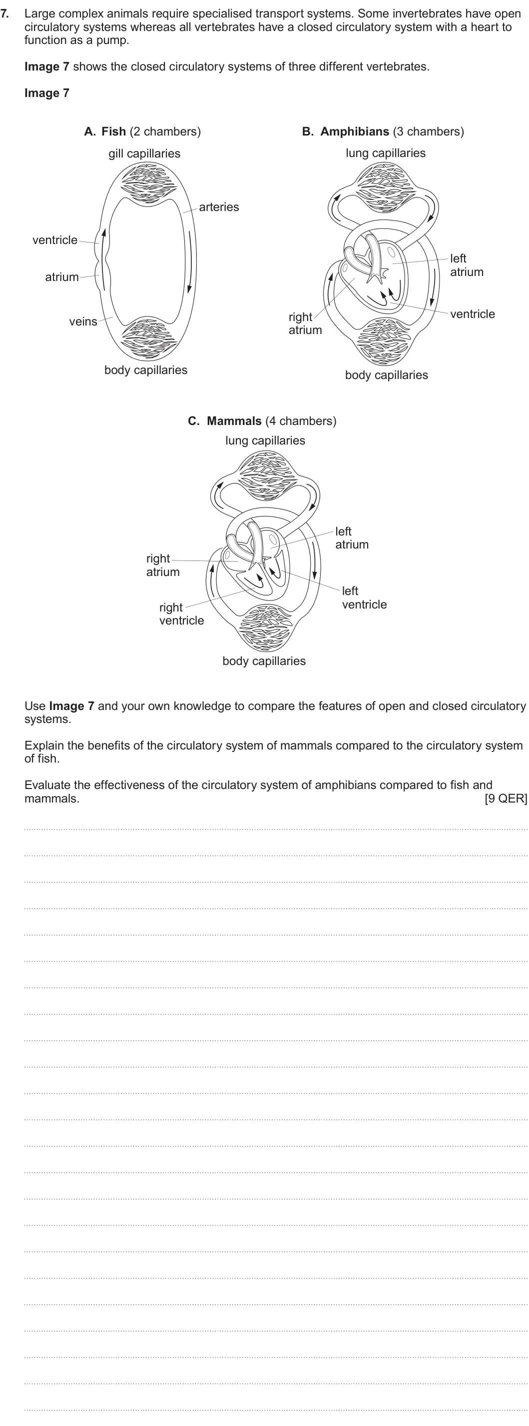 Summer 2025 AS Unit 2, question 7: Large complex animals require specialised transport systems. Some invertebrates have open circulatory systems whereas all vertebrates have a closed circulatory