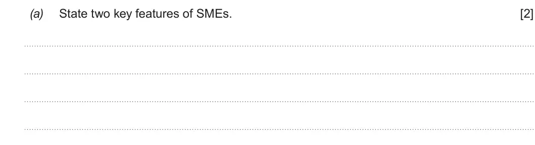 Summer 2019 AS Unit 1, question 3(a): State two key features of SMEs. [2]