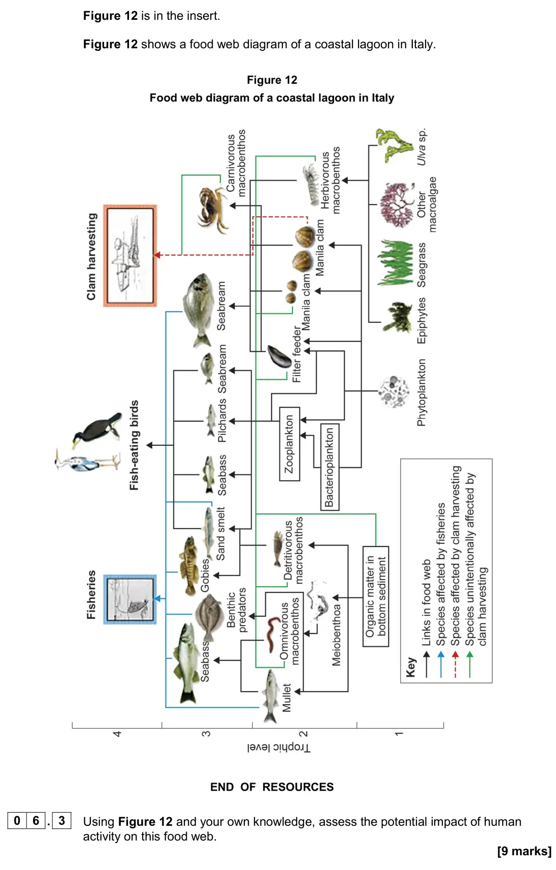 June 2024 Paper 1, question 06.3: Using Figure 12 and your own knowledge, assess the potential impact of human activity on this food web. [9 marks]