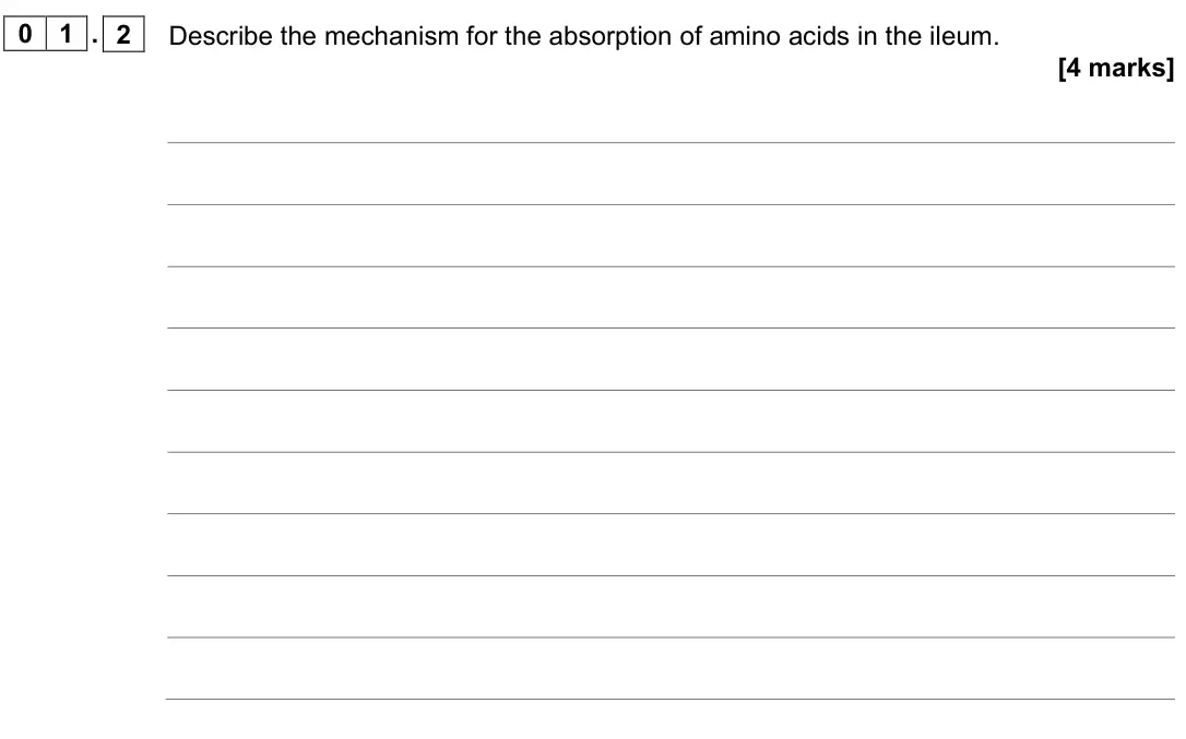 June 2022 AS Paper 1, question 01.2: Describe the mechanism for the absorption of amino acids in the ileum. [4 marks]