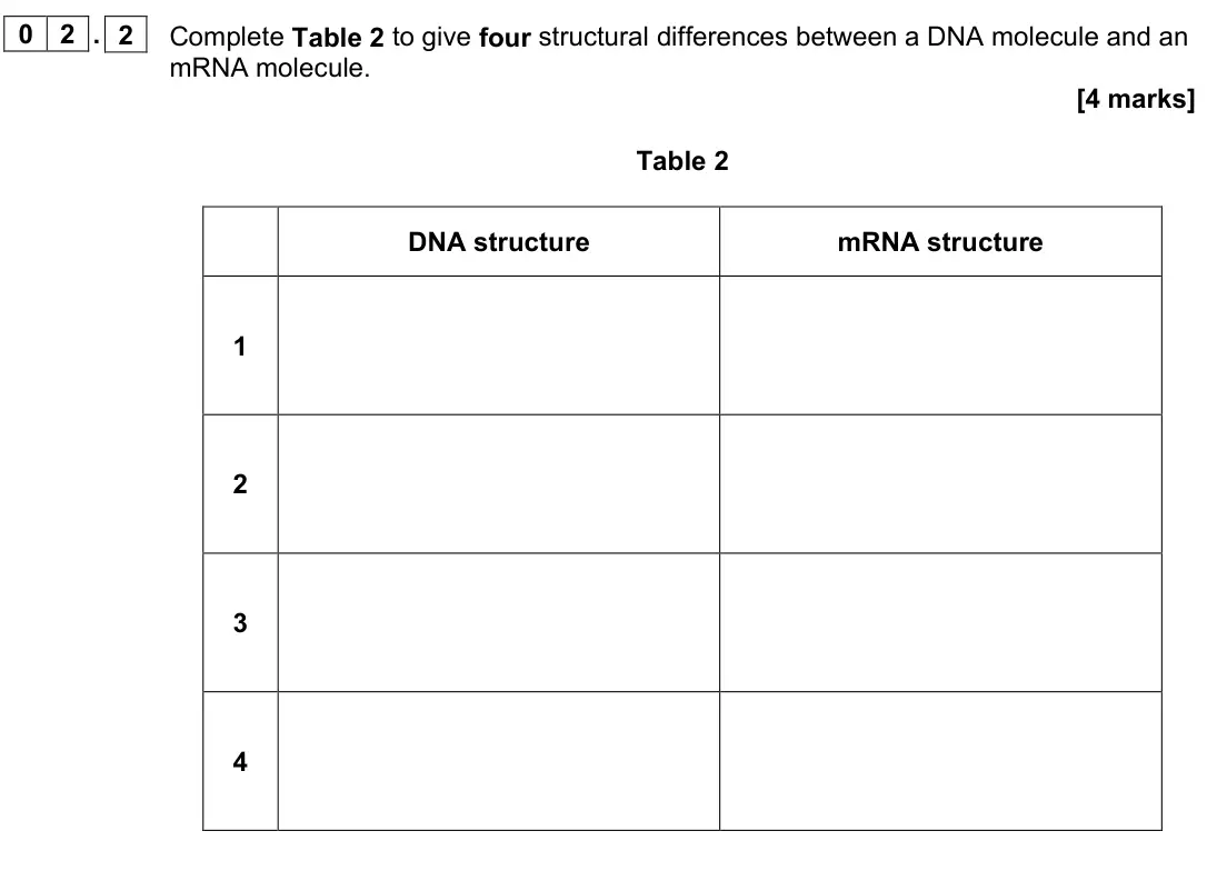 June 2022 AS Paper 1, question 02.2: Complete Table 2 to give four structural differences between a DNA molecule and an mRNA molecule. [4 marks] Table 2 DNA structure mRNA structure 1 2 3 4