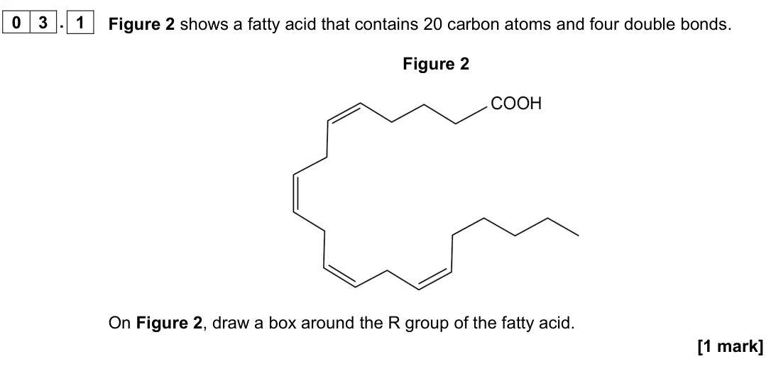 June 2023 AS Paper 1, question 03.1: Figure 2 shows a fatty acid that contains 20 carbon atoms and four double bonds. Figure 2 On Figure 2, draw a box around the R group of the fatty acid. [1 mark]