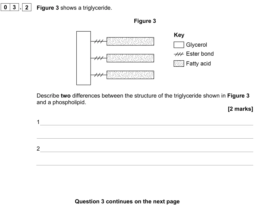 June 2023 AS Paper 1, question 03.2: Figure 3 shows a triglyceride. Figure 3 Describe two differences between the structure of the triglyceride shown in Figure 3 and a phospholipid. [2 marks] 1 2