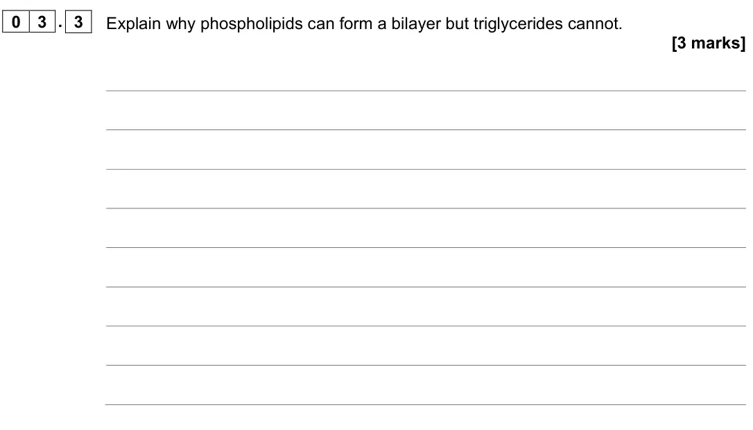 June 2023 AS Paper 1, question 03.3: Explain why phospholipids can form a bilayer but triglycerides cannot. [3 marks]