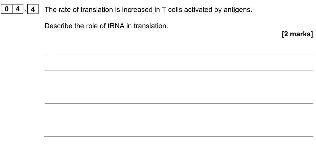 June 2023 AS Paper 1, question 04.4: The rate of translation is increased in T cells activated by antigens. Describe the role of tRNA in translation. [2 marks]