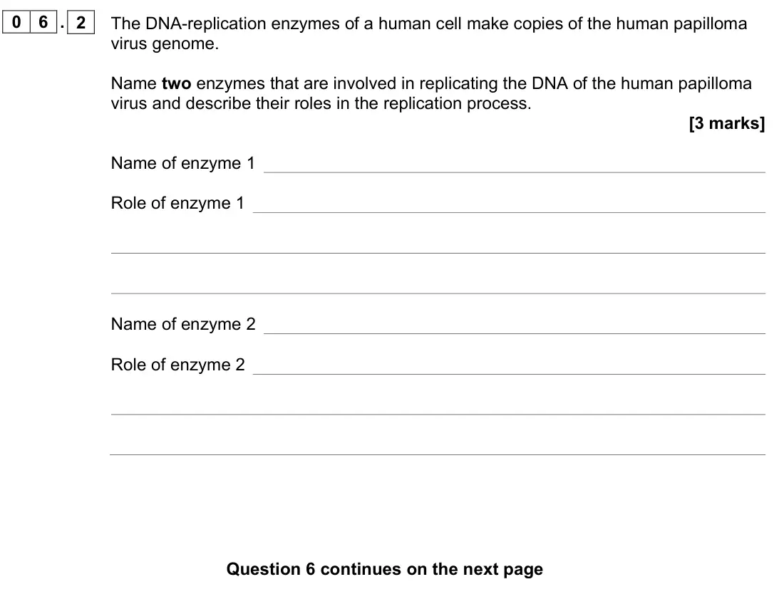 June 2023 AS Paper 1, question 06.2: The DNA-replication enzymes of a human cell make copies of the human papilloma virus genome. Name two enzymes that are involved in replicating the DNA of the hu