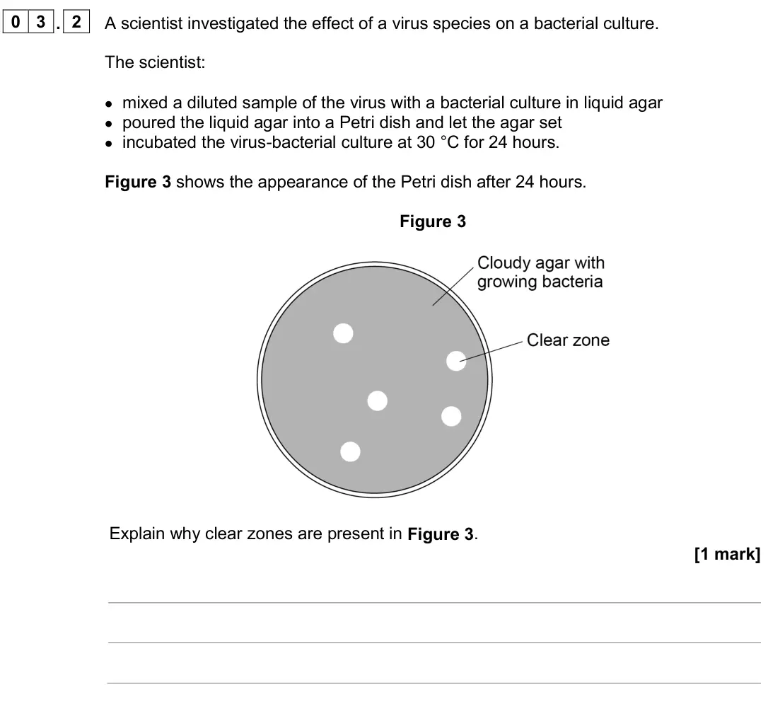 June 2024 AS Paper 1, question 03.2: A scientist investigated the effect of a virus species on a bacterial culture. The scientist: • mixed a diluted sample of the virus with a bacterial culture in 