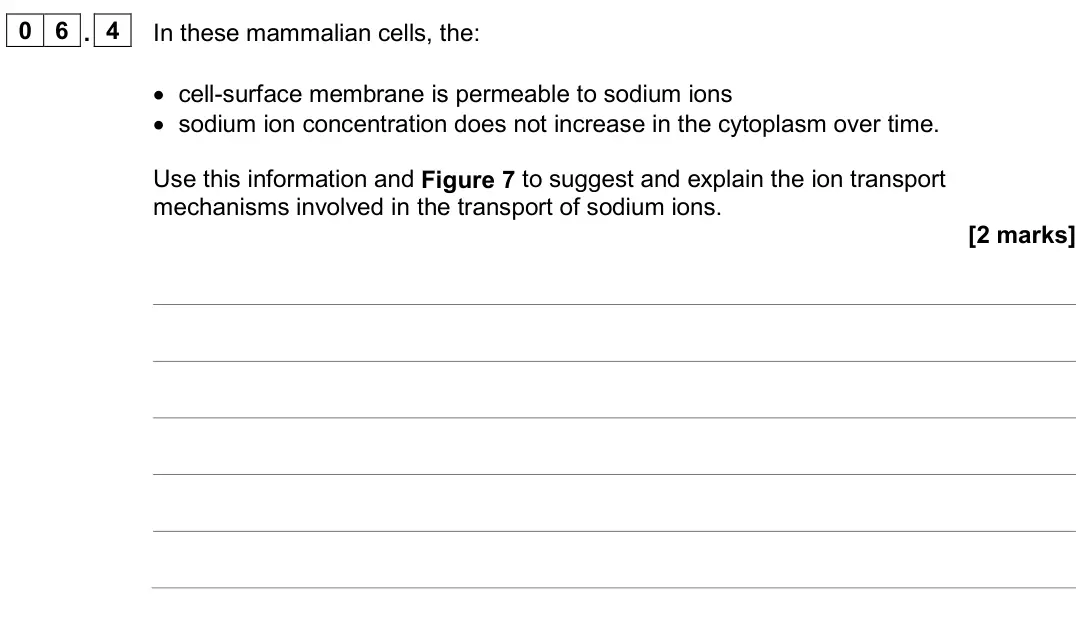 June 2024 AS Paper 1, question 06.4: In these mammalian cells, the: • cell-surface membrane is permeable to sodium ions • sodium ion concentration does not increase in the cytoplasm over time. Use 