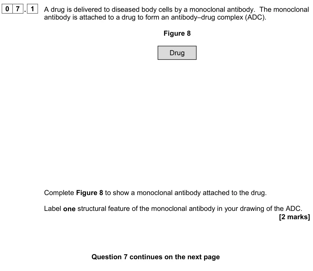 June 2024 AS Paper 1, question 07.1: A drug is delivered to diseased body cells by a monoclonal antibody. The monoclonal antibody is attached to a drug to form an antibody–drug complex (ADC). Figur