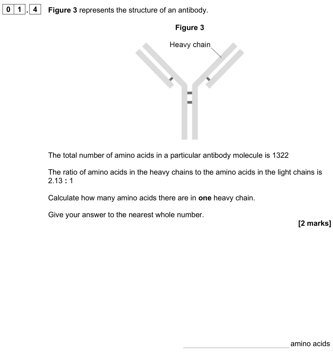 June 2025 AS Paper 1, question 01.4: Figure 3 represents the structure of an antibody. Figure 3 The total number of amino acids in a particular antibody molecule is 1322 The ratio of amino acids in