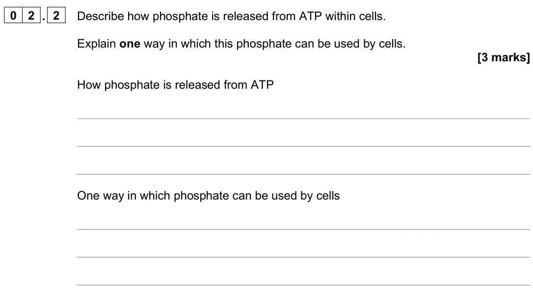 June 2025 AS Paper 1, question 02.2: Describe how phosphate is released from ATP within cells. Explain one way in which this phosphate can be used by cells. [3 marks] How phosphate is released from