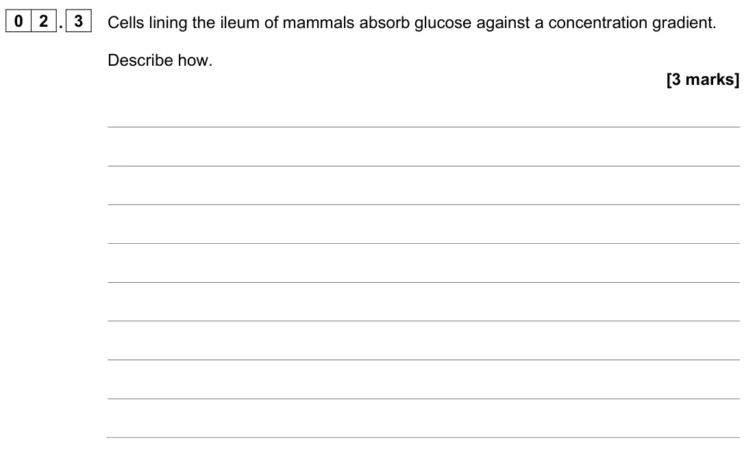 June 2025 AS Paper 1, question 02.3: Cells lining the ileum of mammals absorb glucose against a concentration gradient. Describe how. [3 marks]