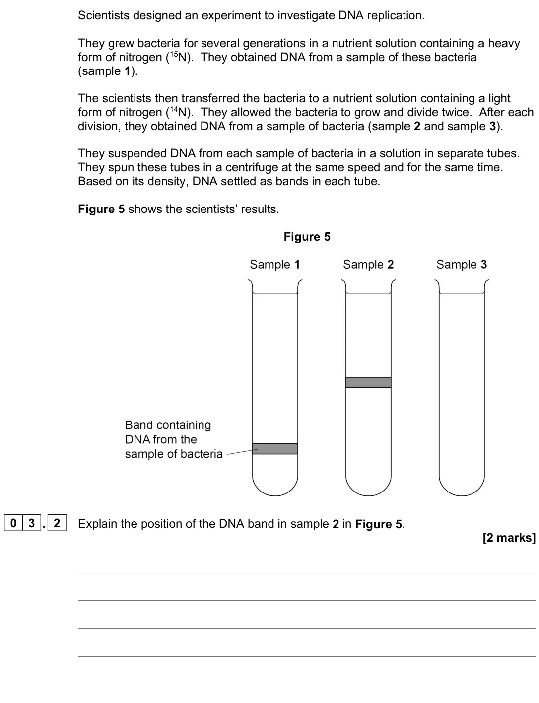 June 2025 AS Paper 1, question 03.2: Explain the position of the DNA band in sample 2 in Figure 5. [2 marks]