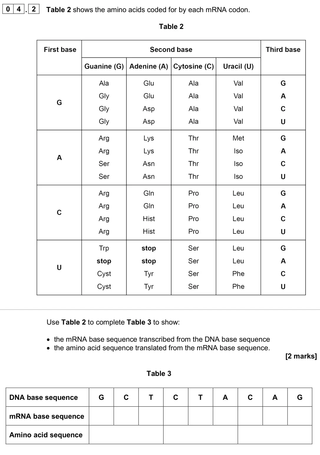 June 2025 AS Paper 1, question 04.2: Table 2 shows the amino acids coded for by each mRNA codon. Table 2 Use Table 2 to complete Table 3 to show: • the mRNA base sequence transcribed from the DNA b