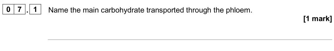 June 2025 AS Paper 1, question 07.1: Name the main carbohydrate transported through the phloem. [1 mark]